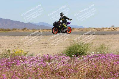 media/Mar-12-2023-SoCal Trackdays (Sun) [[d4c8249724]]/Turn 15 Inside Bloom (130pm)/